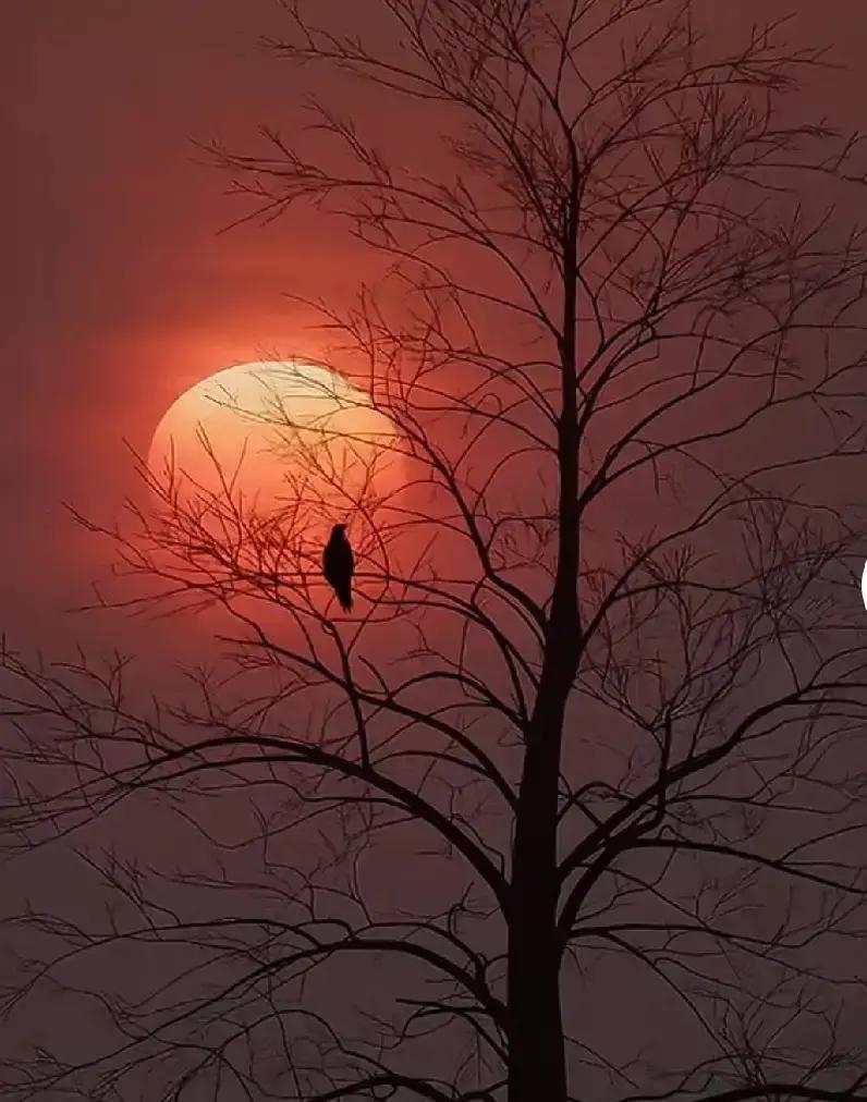 我表姐今年28，在高中教语文，每天下班先撸猫再点外卖。
她爸妈急得团团转，她却说