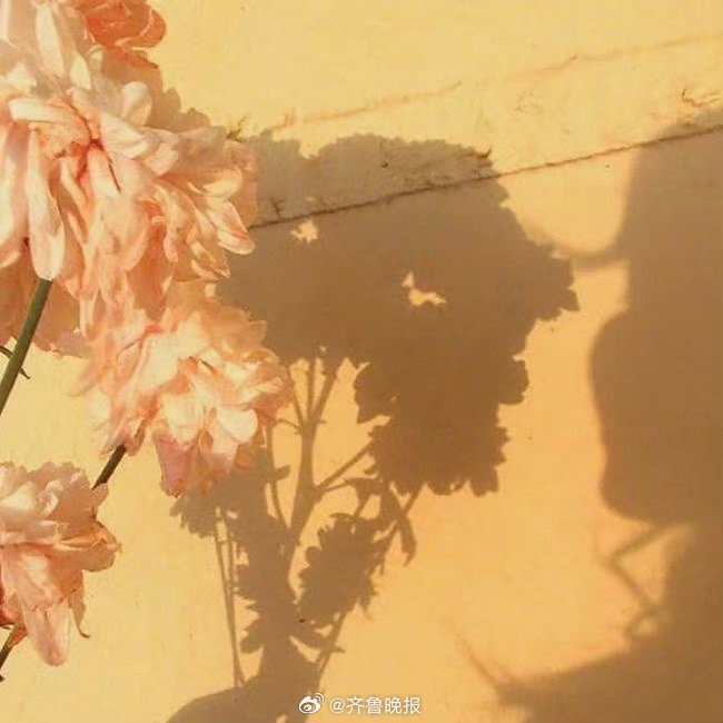 生活的本质就是平淡的，接受它，然后尽最大的努力让自己开心。#晚安# ​​​