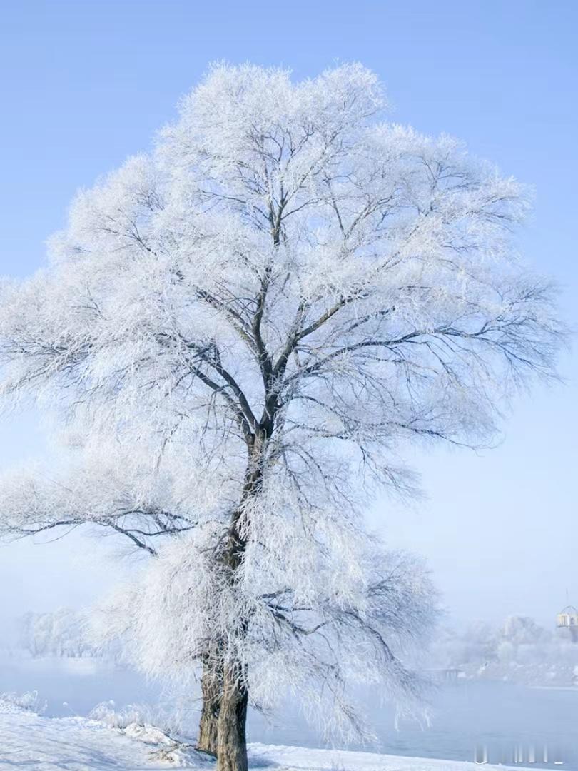 #100张年度旅行照片# 四川华蓥市，我愿称之为小众宝藏旅游胜地，为什么这么说呢