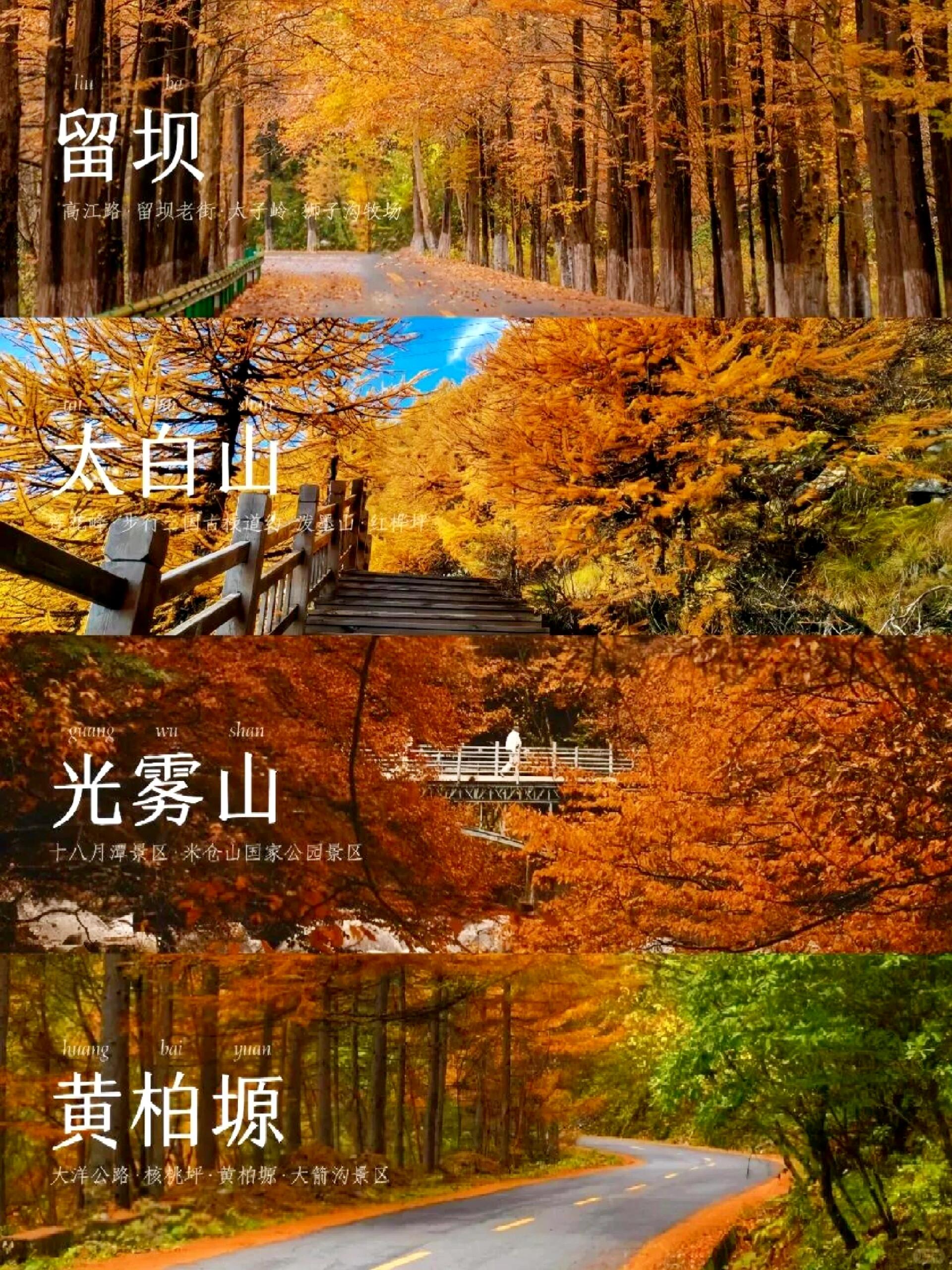 10~11月不出陕，西安周边④大绝美赏秋。①留坝📍汉中市留坝县👉?...