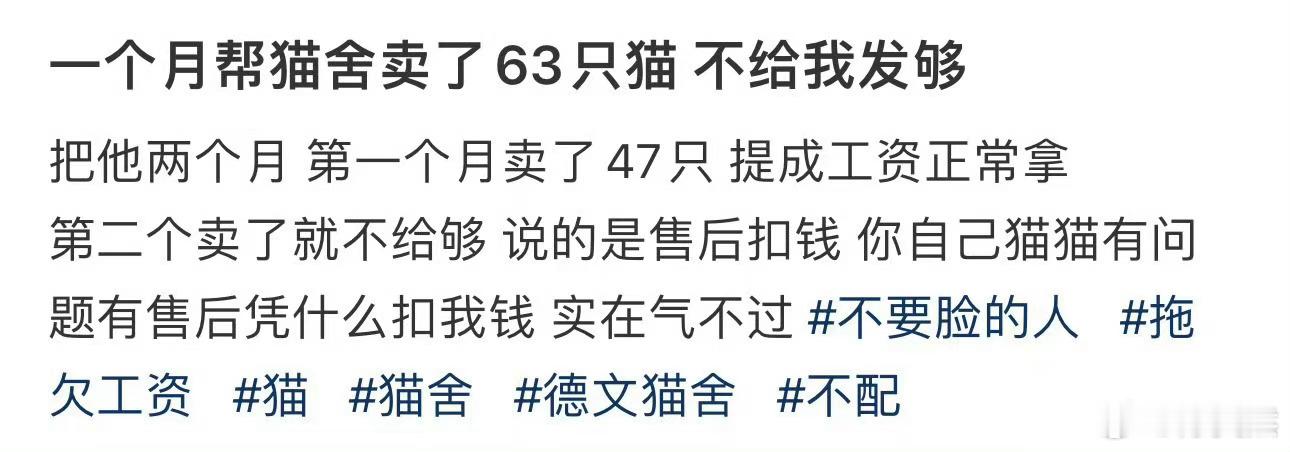 一个月帮猫舍卖了63只猫 不给我发够 ​​​
