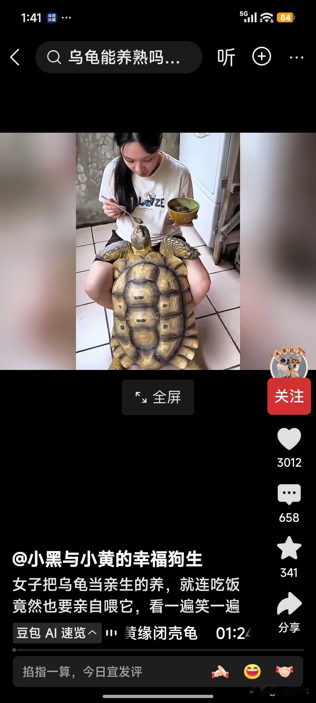女人年纪轻轻的，两只腿里夹着一只乌龟喂饭，真令老夫开了眼——
 
 都说萌宠治愈