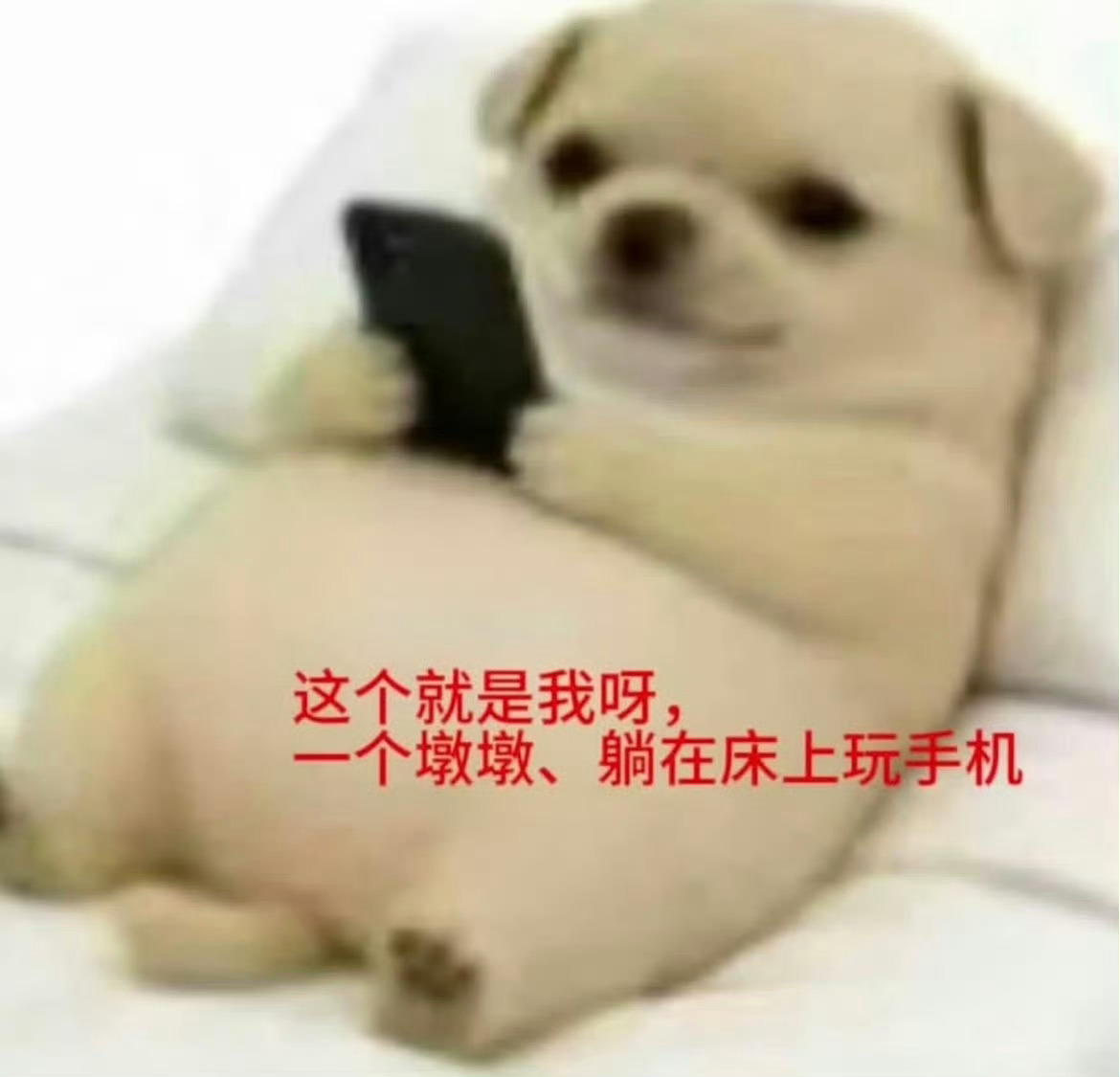 分享图片 ​​​