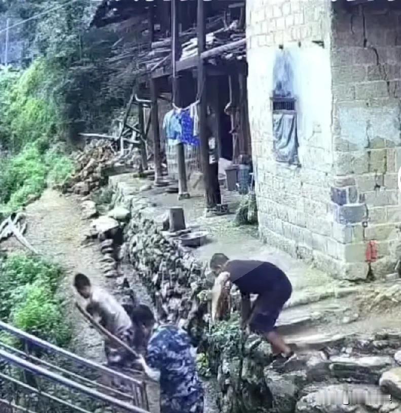 前几天有只未牵绳的狗咬到一村民，过二天身亡了，乡政府下文凡是未拴绳的狗一位捕杀，