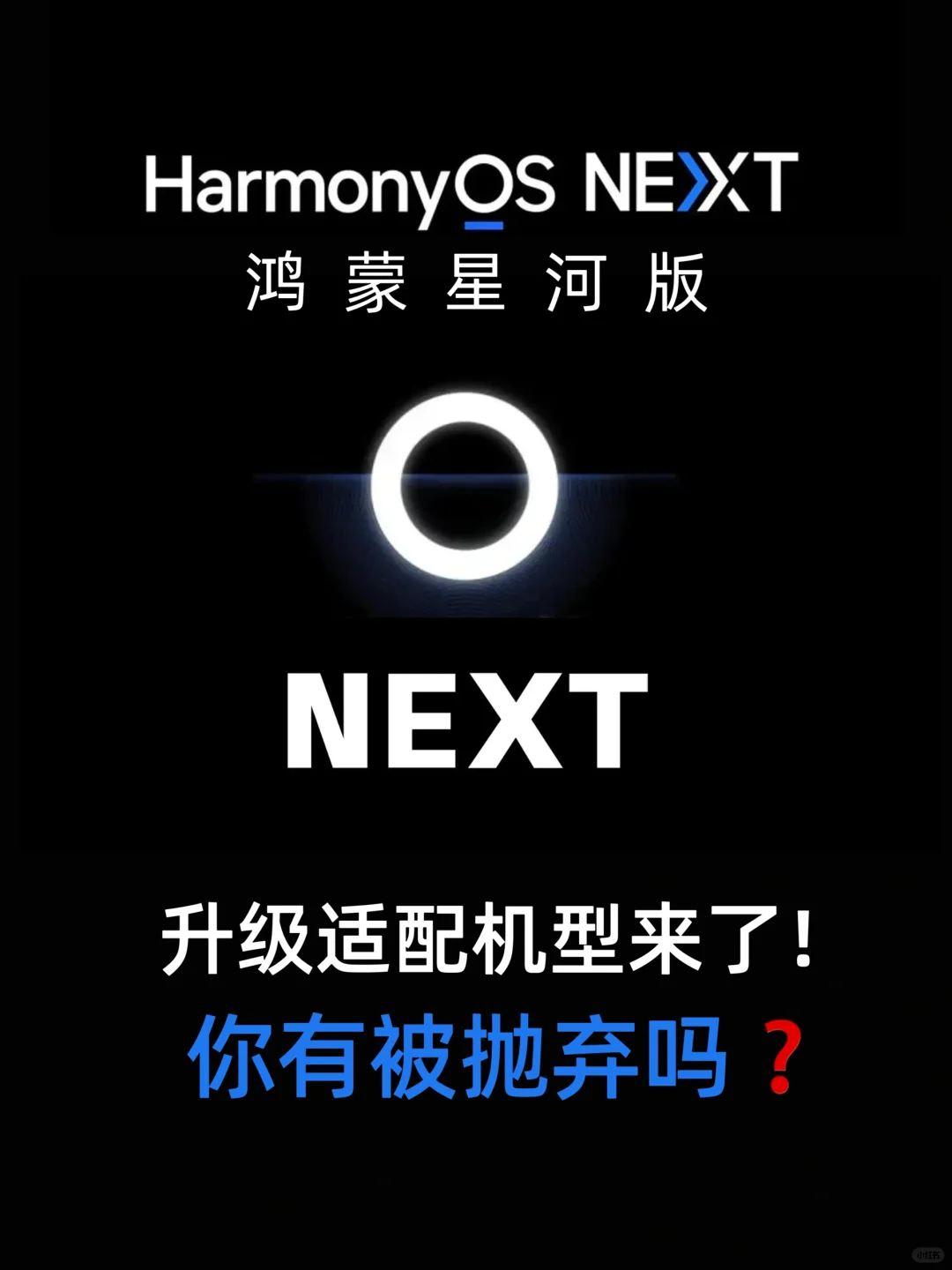 华为纯血鸿蒙HarmonyOS NEXT适配机型来啦❗️