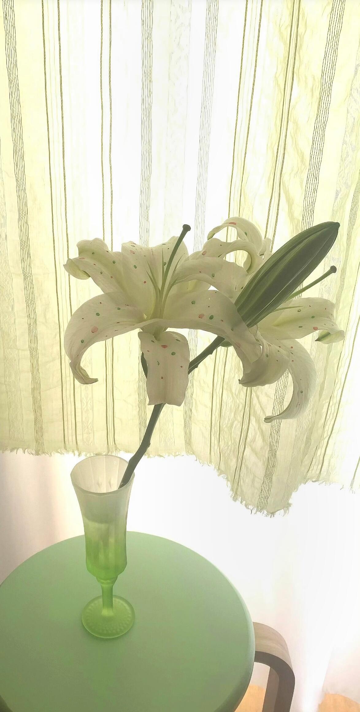 ⋆. 青柠罗勒与柑橘的味道 