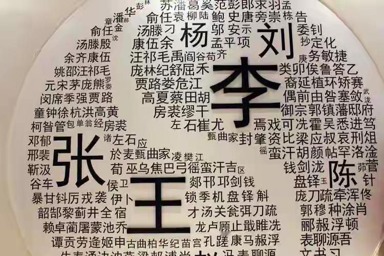 2019年公安部做了一次户政统计。

王姓排第一，李姓排第二。差多少？61万人。