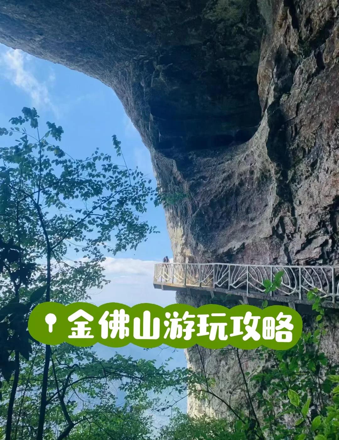 金佛山徒步游玩攻略
🚠 省力路线（北坡/南坡）
如果你不想费腿爬山，坐索道上山
