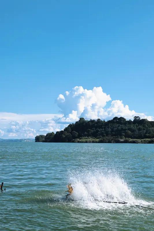 猜字谜真的太有趣啦！给大家分享两个。一个谜面是“女子添一口，否掉一个口，河水流走