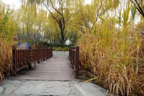 晒图笔记大赛