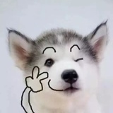 梅热看体育