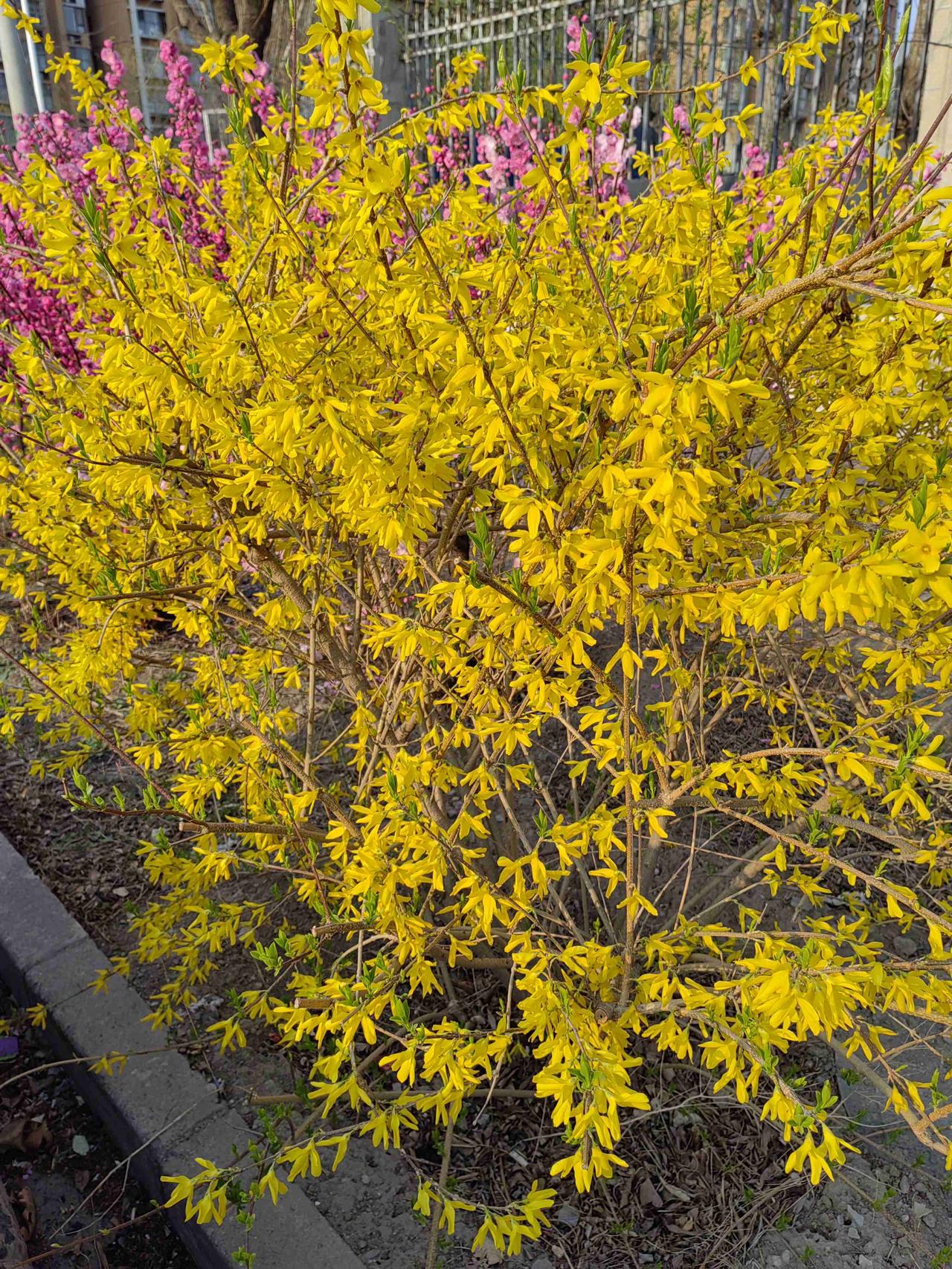 我的今日状态：😁轻松愉快
我这里的天气：☀️晴天