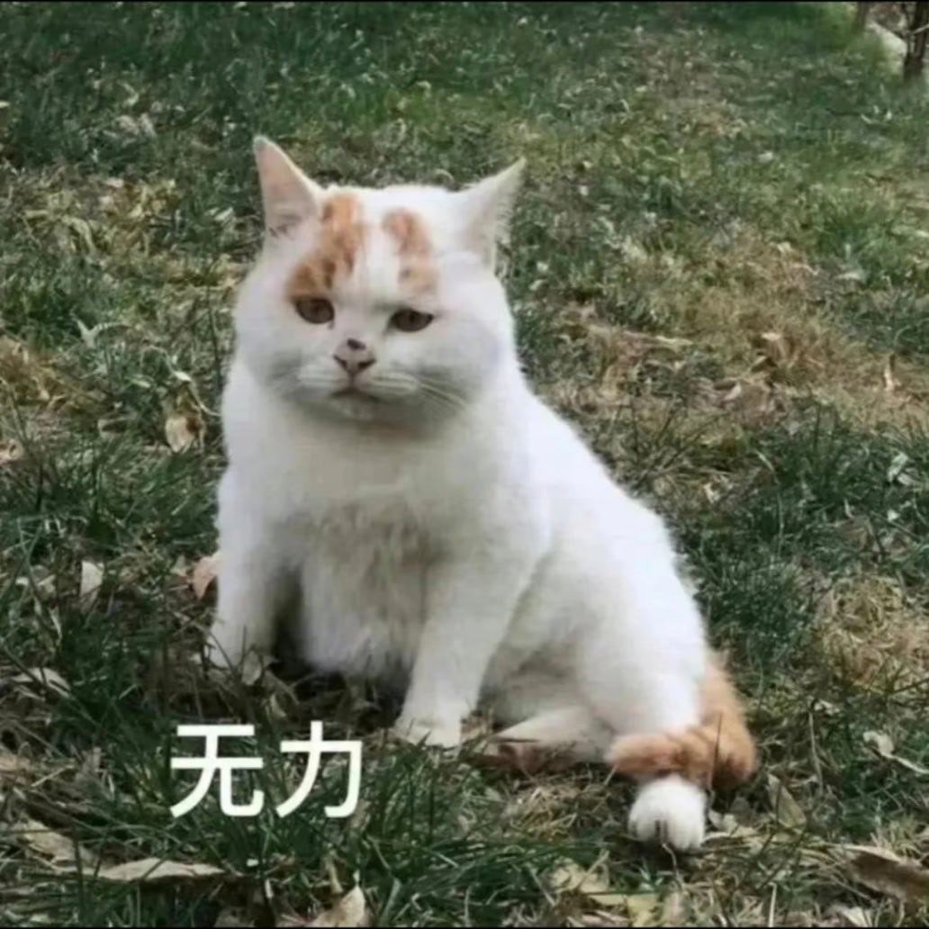 本来想抽时间搞一下蜗壳退国家队的那个视频，直到我看见那个视频有80多分钟……告辞