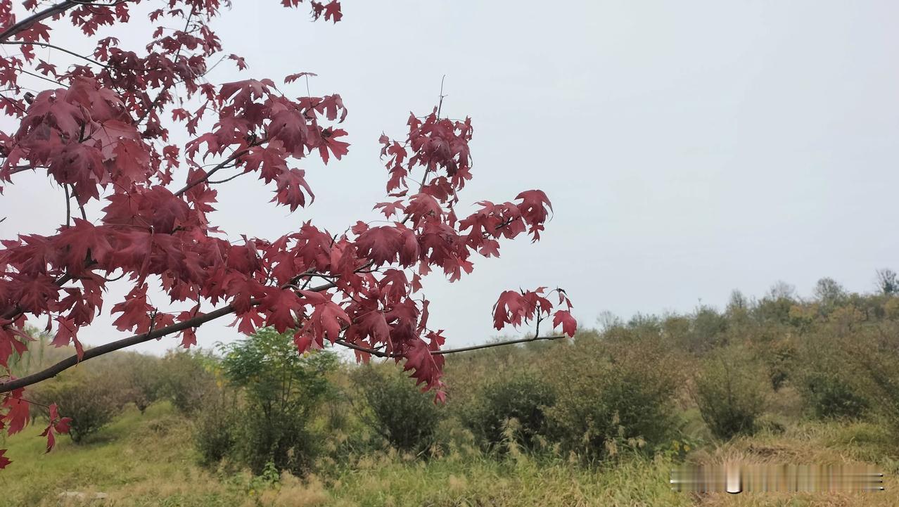 

没有太阳，我就是阳光。

生活的美好不在于繁华，而在于内心的平静。简单生活，