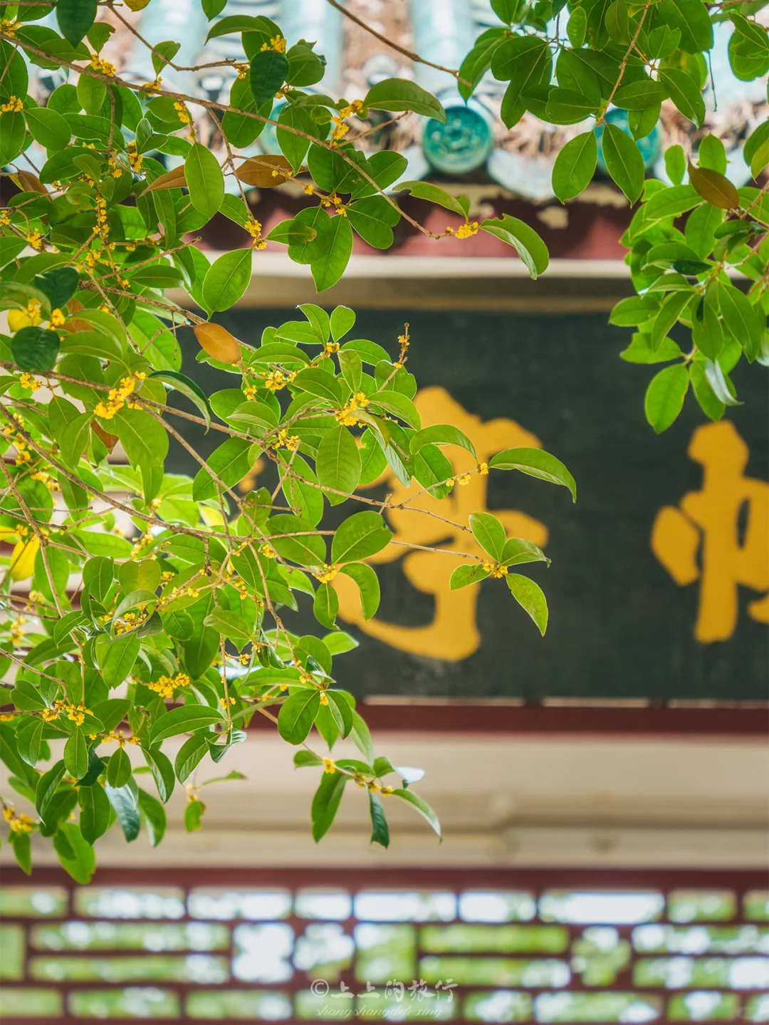 武汉‼️唯一想去无数次的⛰️徒步爬山小众路线