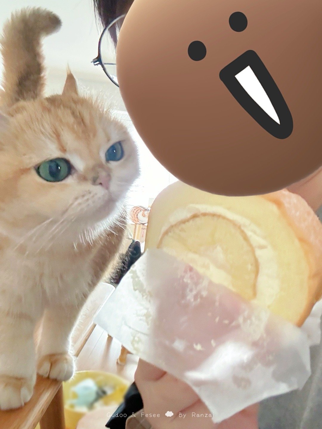 妈妈妈妈我的好妈妈可以给小猫吃一口吗[开学季]#菇冬怎么肥四[超话]##萌宠种草