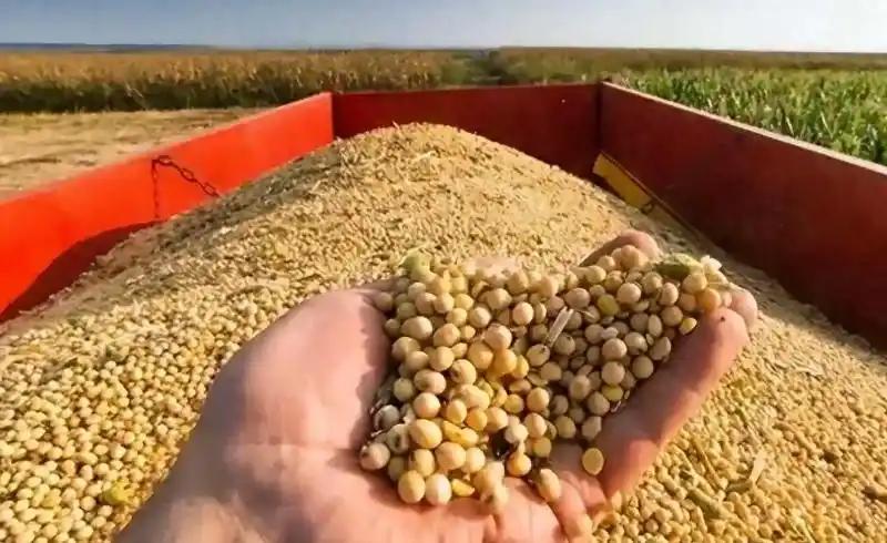 为什么购买18万吨美国大豆？
中美马来西亚五轮经贸会谈后，中国购买美国18万吨大