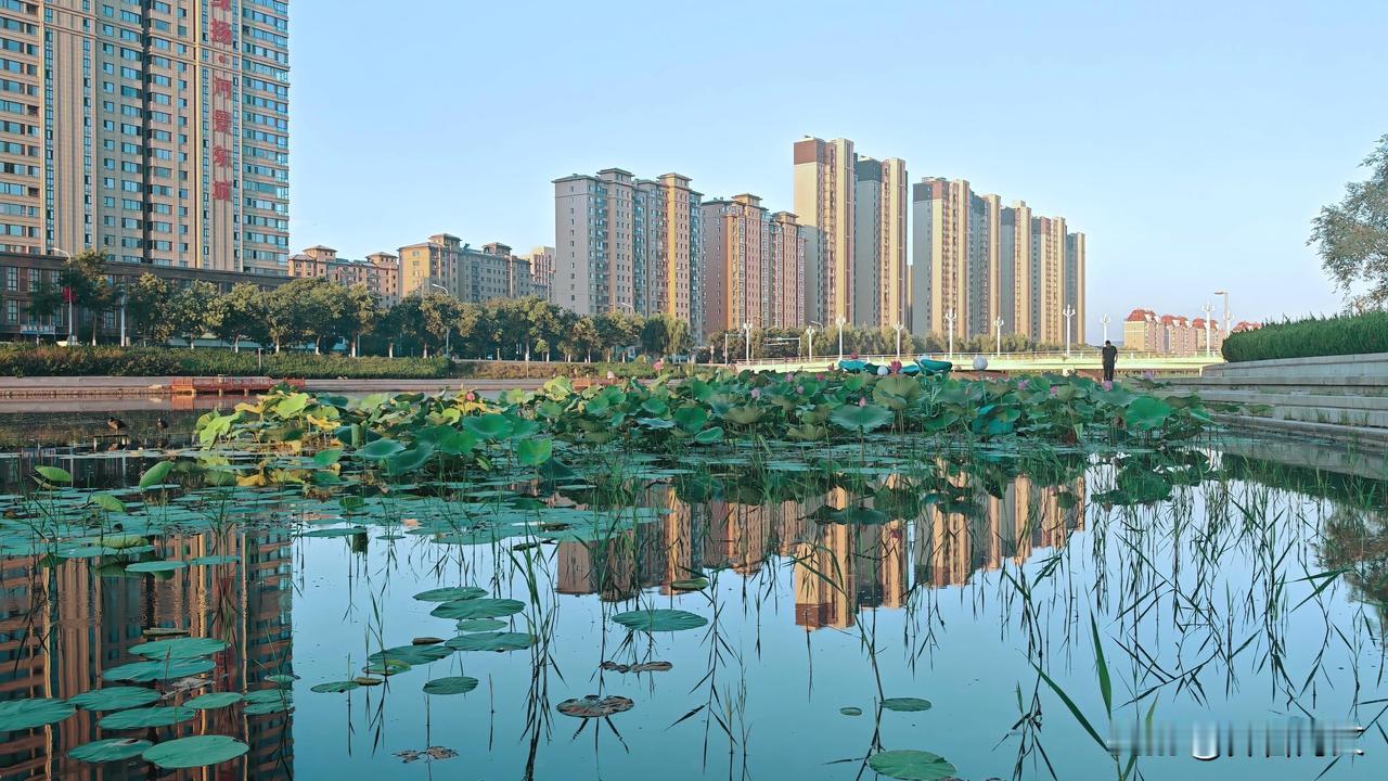 晒图笔记大赛清晨的抱龙河景观，美丽的河景房倒影。