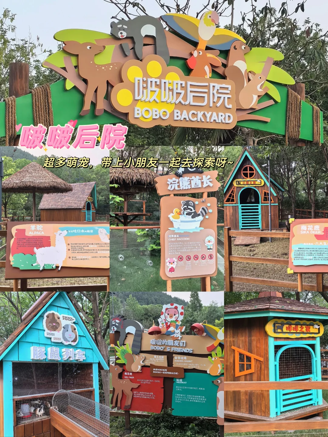 新发现，不出徐州，遛娃度假两不误的好地方