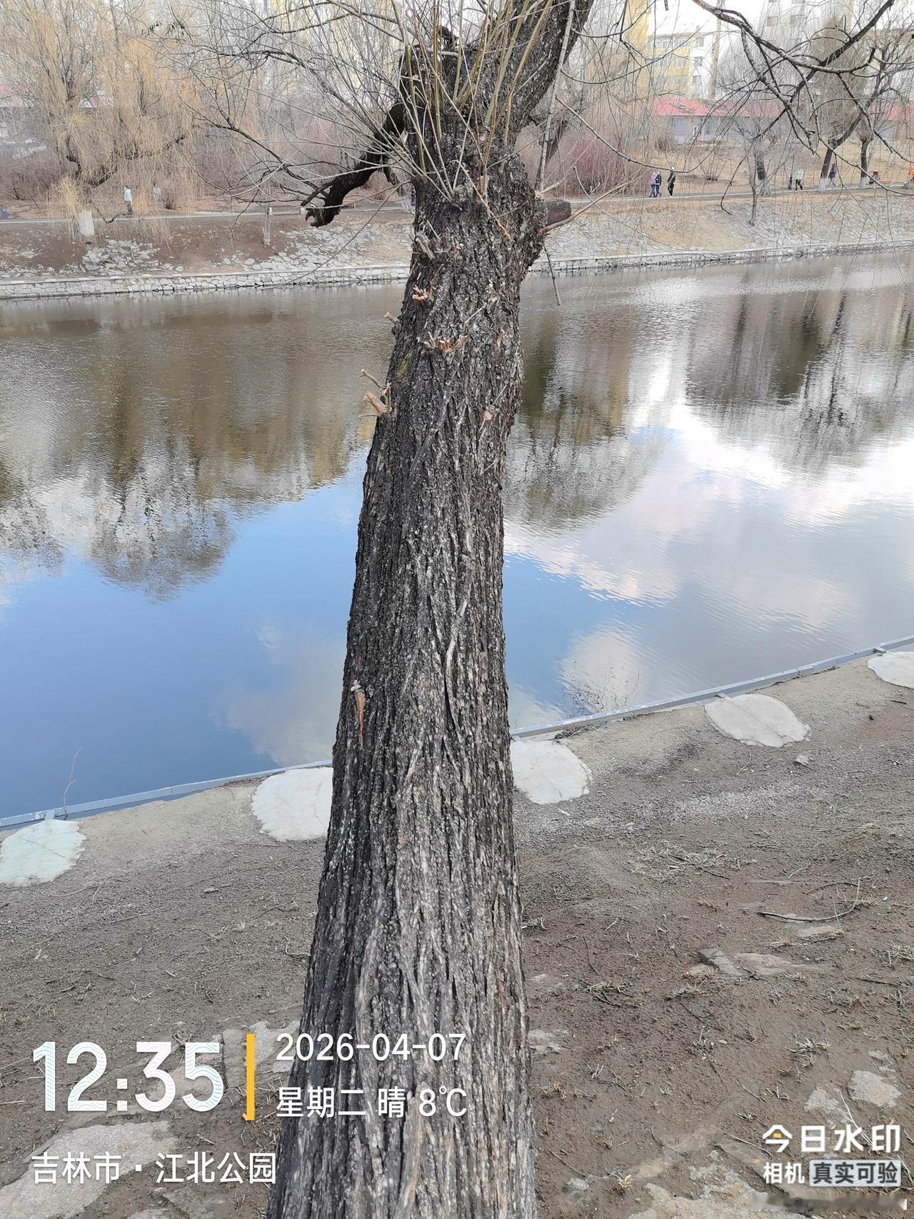 我想问一下吉林市的前辈，吉林市中兴街的两个立交桥是什么时候修建的，有知道的吗？