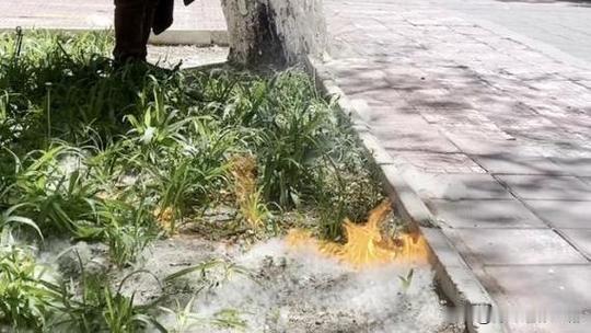 🔥 事件核心复盘

- 起因：2025年5月，未满15岁的小琦（化名）出于好奇