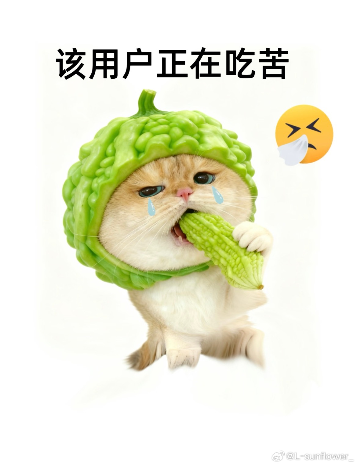今天周六破例当了牛马一次。中午回家有点困直接睡了没去婆婆家吃饭。等我睡醒起来看到