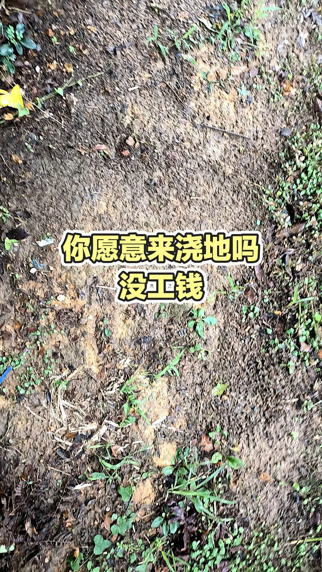 每日分享