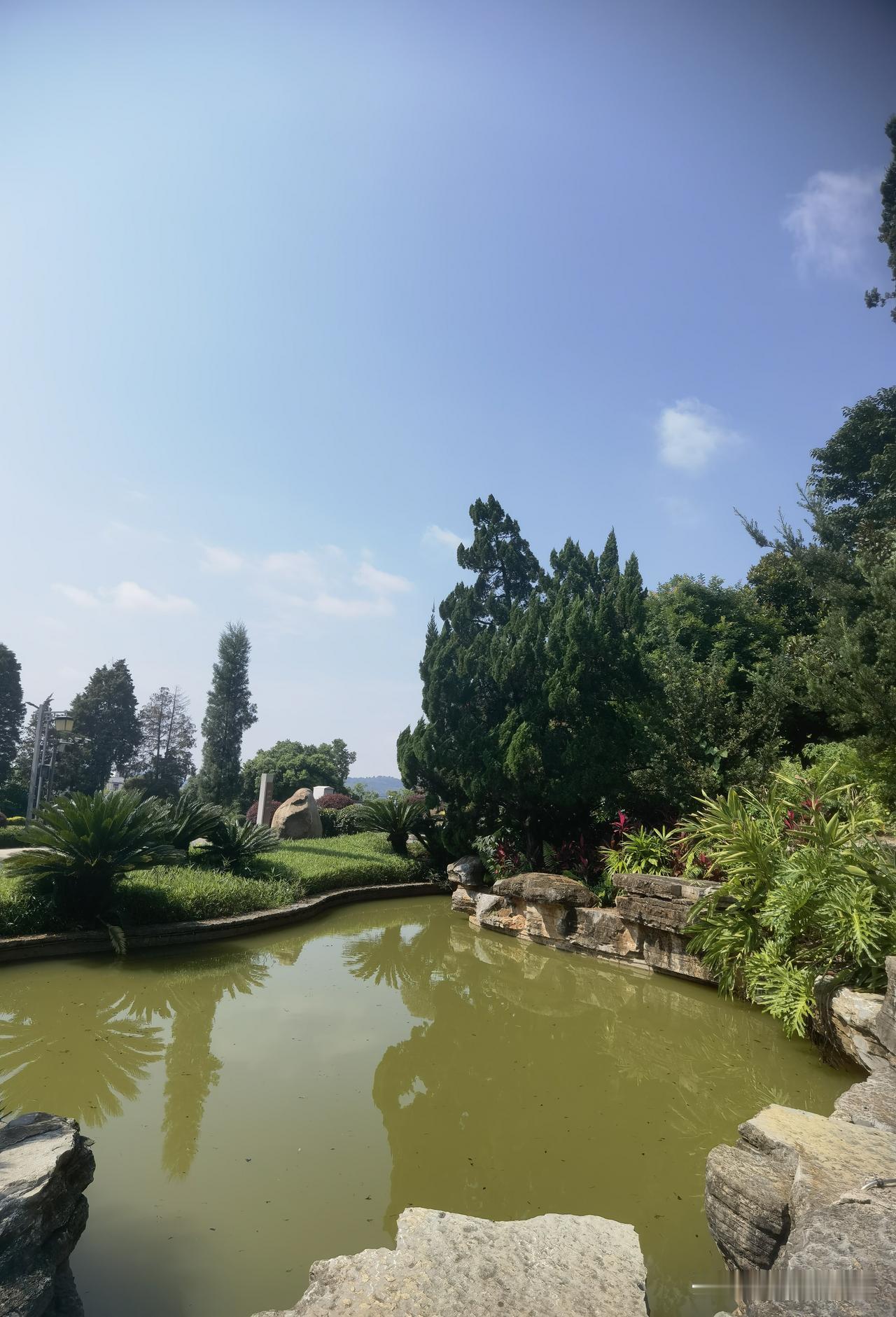 夏日生活打卡季漫长夏日，偷得几分清闲。避开正午滚烫的阳光，在屋内伴着清风翻看闲书