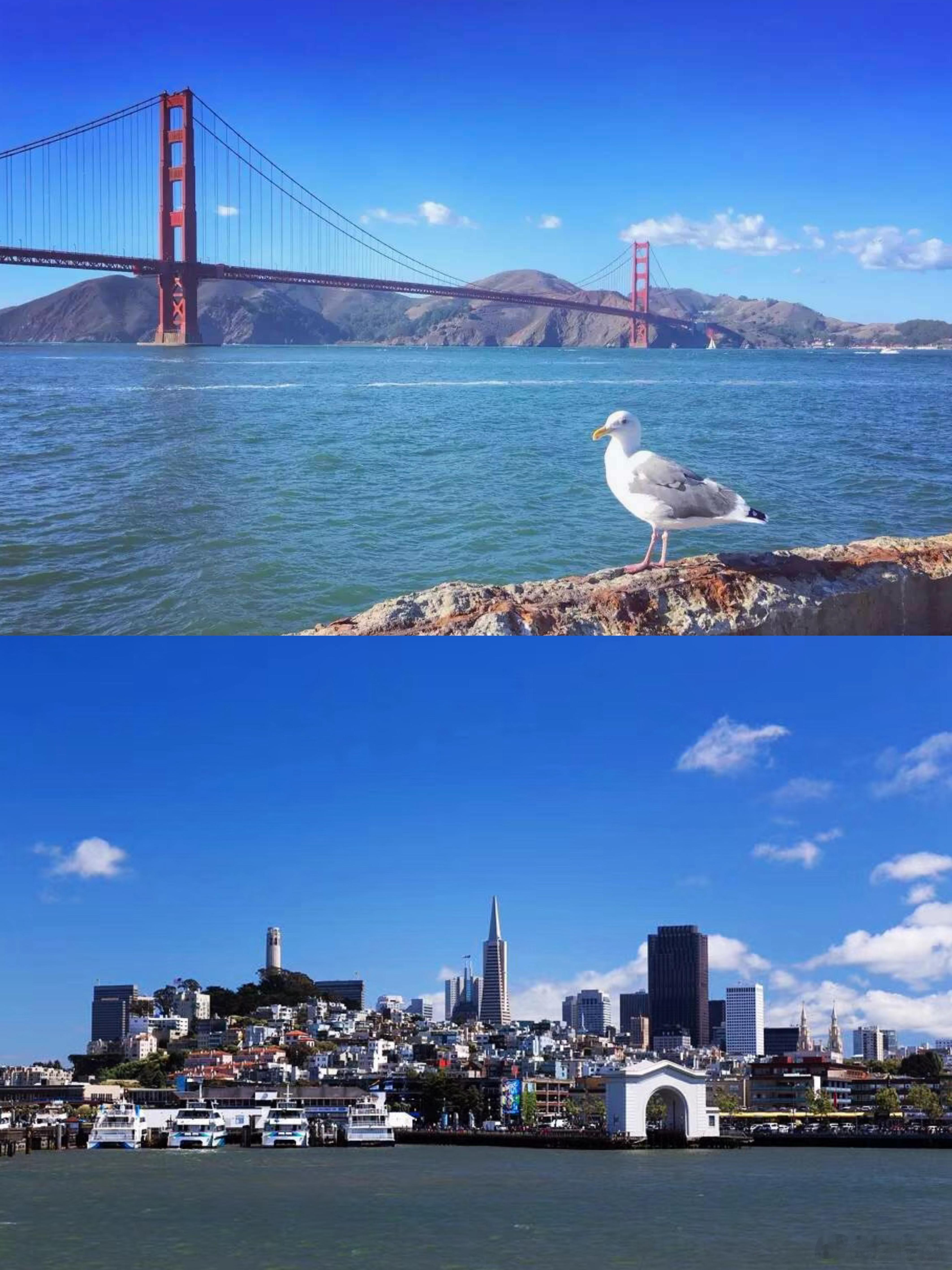 美国加州之旅，犹如踏入一个奇幻的世界，这里不单有城市的璀璨繁华，还有自然的清幽宁