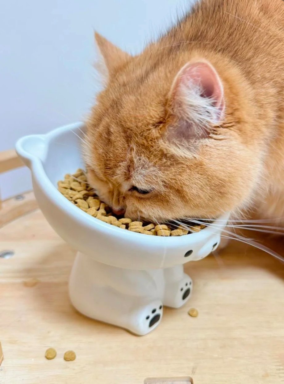 AI距离读懂猫狗还有多久AI读懂猫狗还要多久？年轻人已用AI育儿式养宠！智能喂食