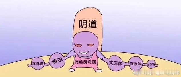 【私处瘙痒反复，当心不是简单的妇科病】科普大作战女性健康必修课健闻登顶计划 女性