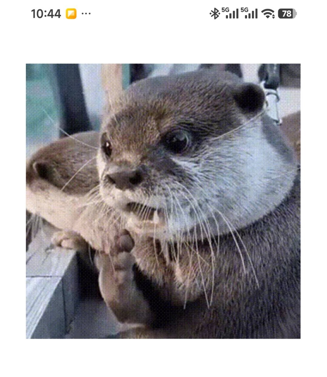 尴尬了，是这样的正常的新车拍摄活动，它是持续一周的，所有媒体拍摄完，在后面选择统