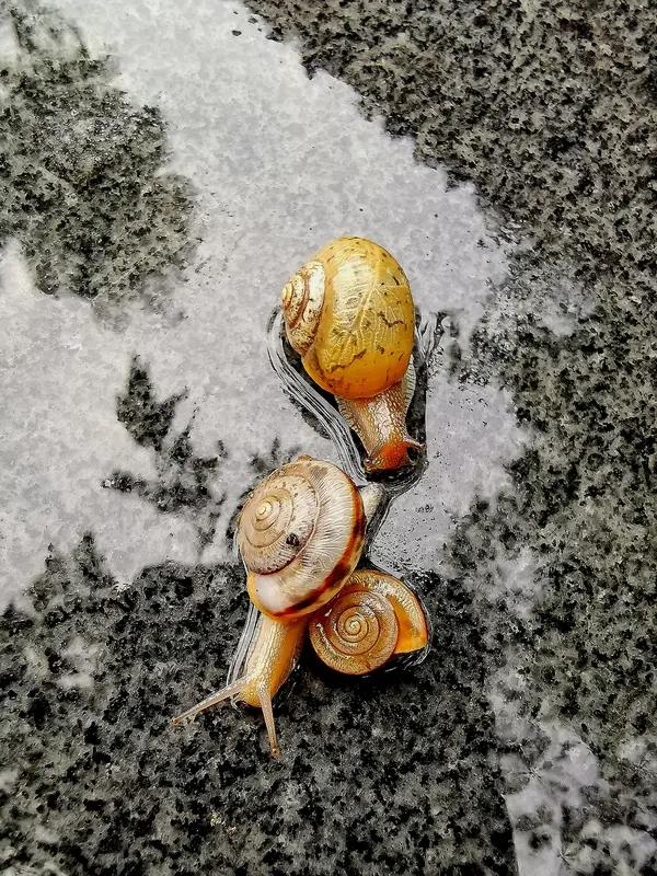 结婚前总怕婆媳难处，真住一起才发现，没有那么多狗血剧情，全是琐碎日常。
 
她爱