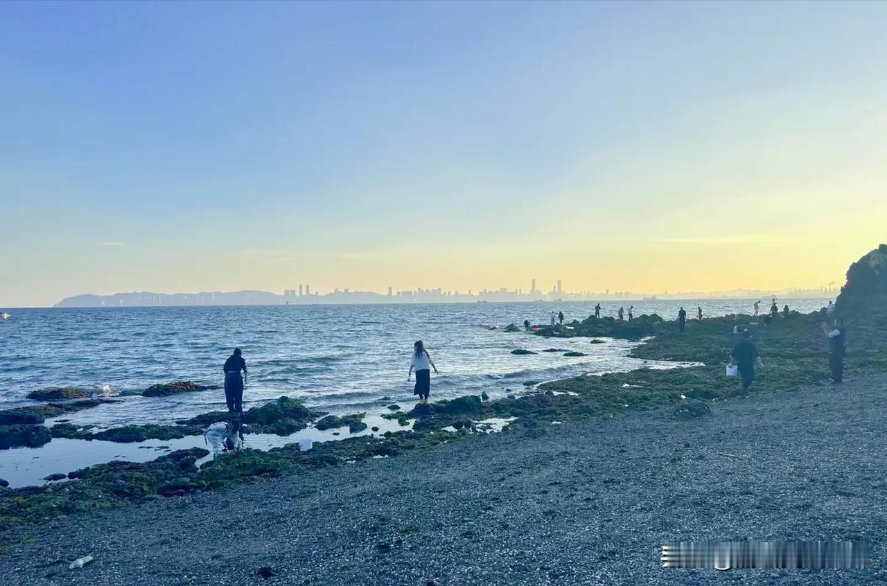 #以秋为题作首诗#
走过北大桥
来到燕窝岭
走过旅顺口
见过金石滩
大连的海啊