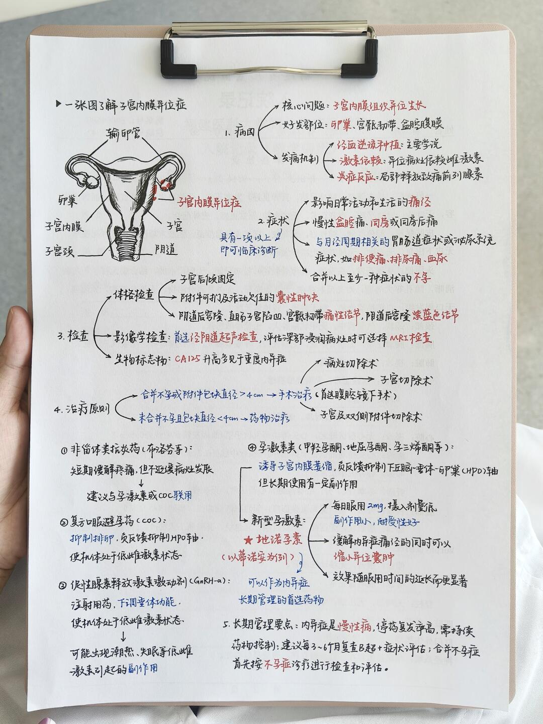 医学生｜子宫内膜异位症