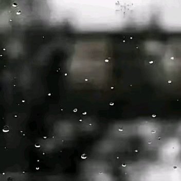 每日一善[超话][太阳]每日一善 日日看似平淡的坚持与沉淀，终会在某个清晨让你看