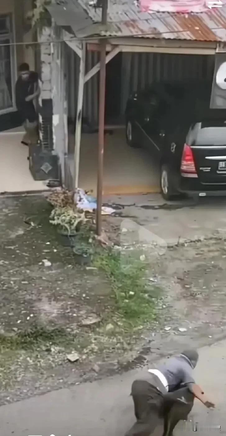 大街上突然冲出一只未拴绳的恶狗，对着一位男士疯狂撕咬，男士没有遭架还手力，被扑倒