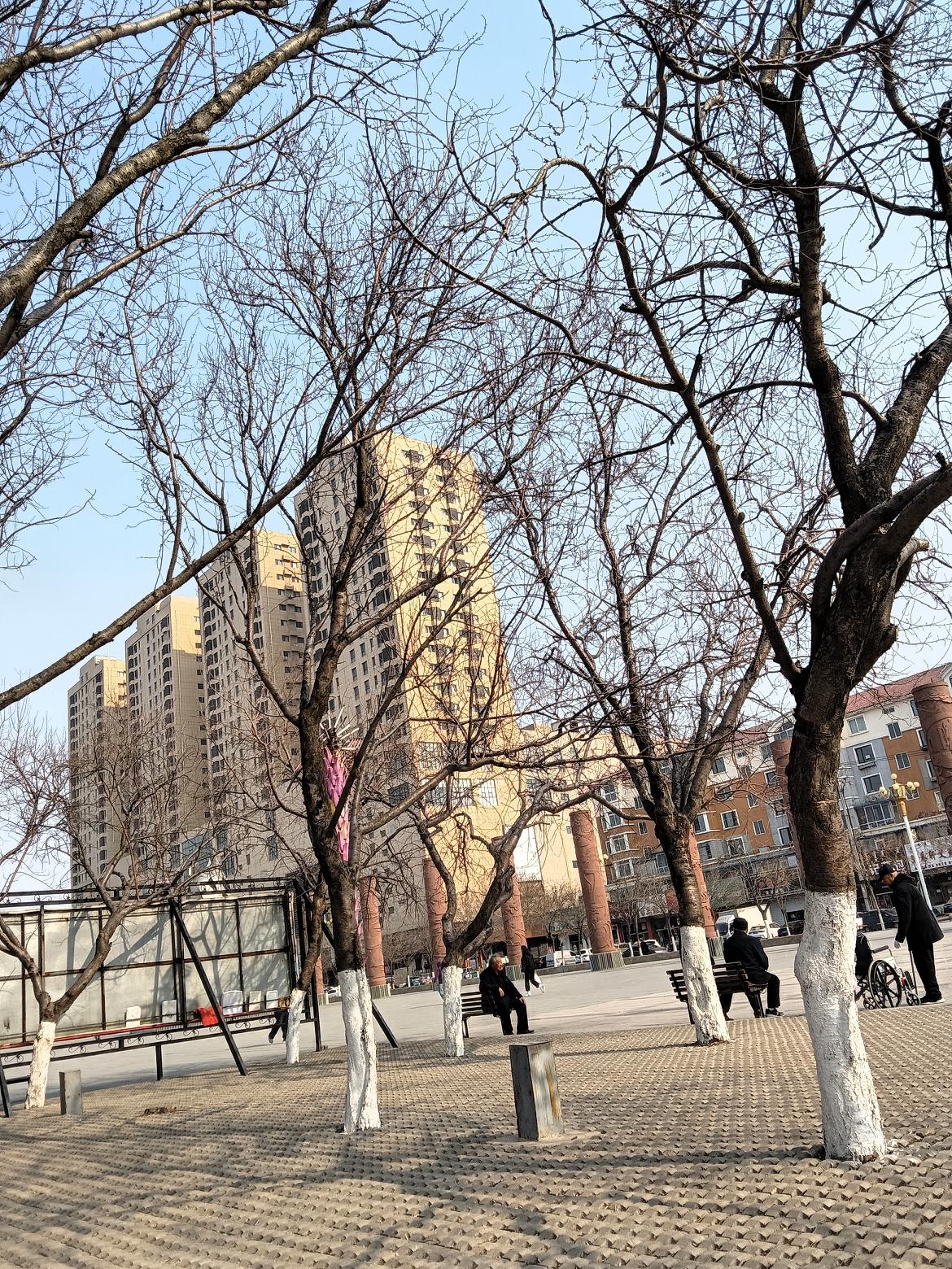 树影婆娑映楼台，人间烟火几多愁。