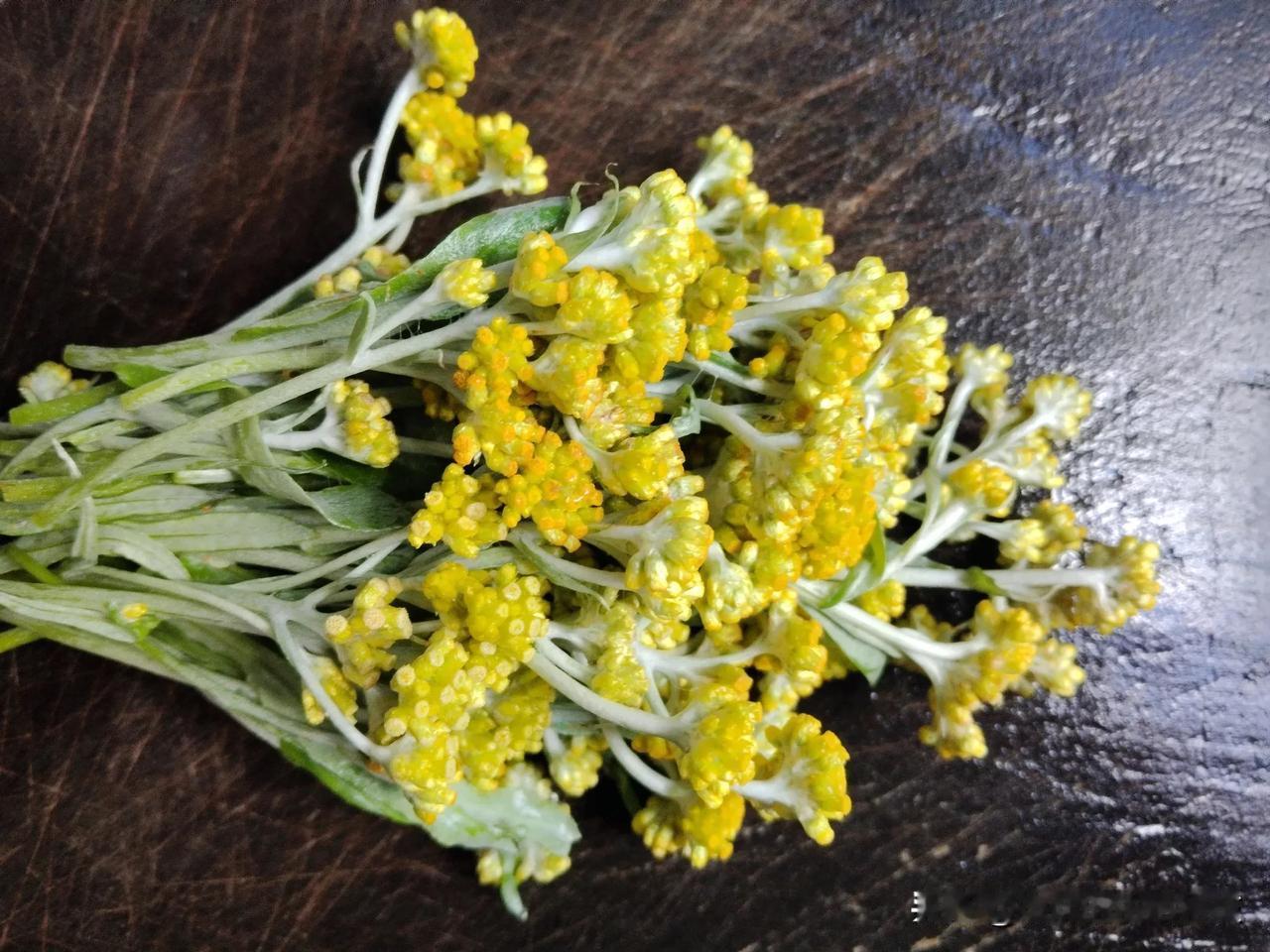 鼠曲草是它的中药名，为菊科植物。我们本地方言喊的软雀儿草。居然还有鼠耳、无心、鼠