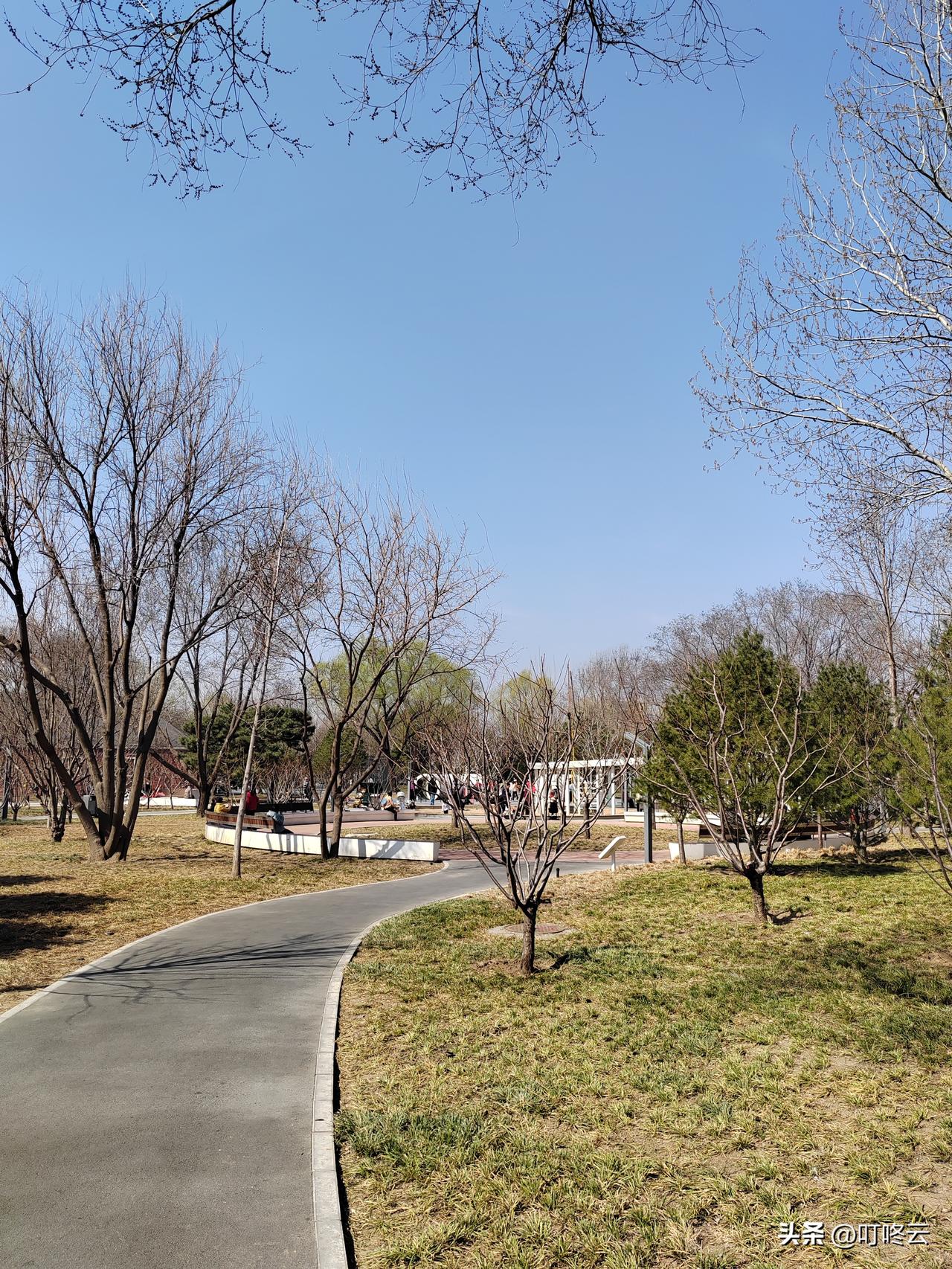 太离谱了！南方已是百花盛开，北京还是这个样子！南北春差实录：北京你是被春天拉黑了