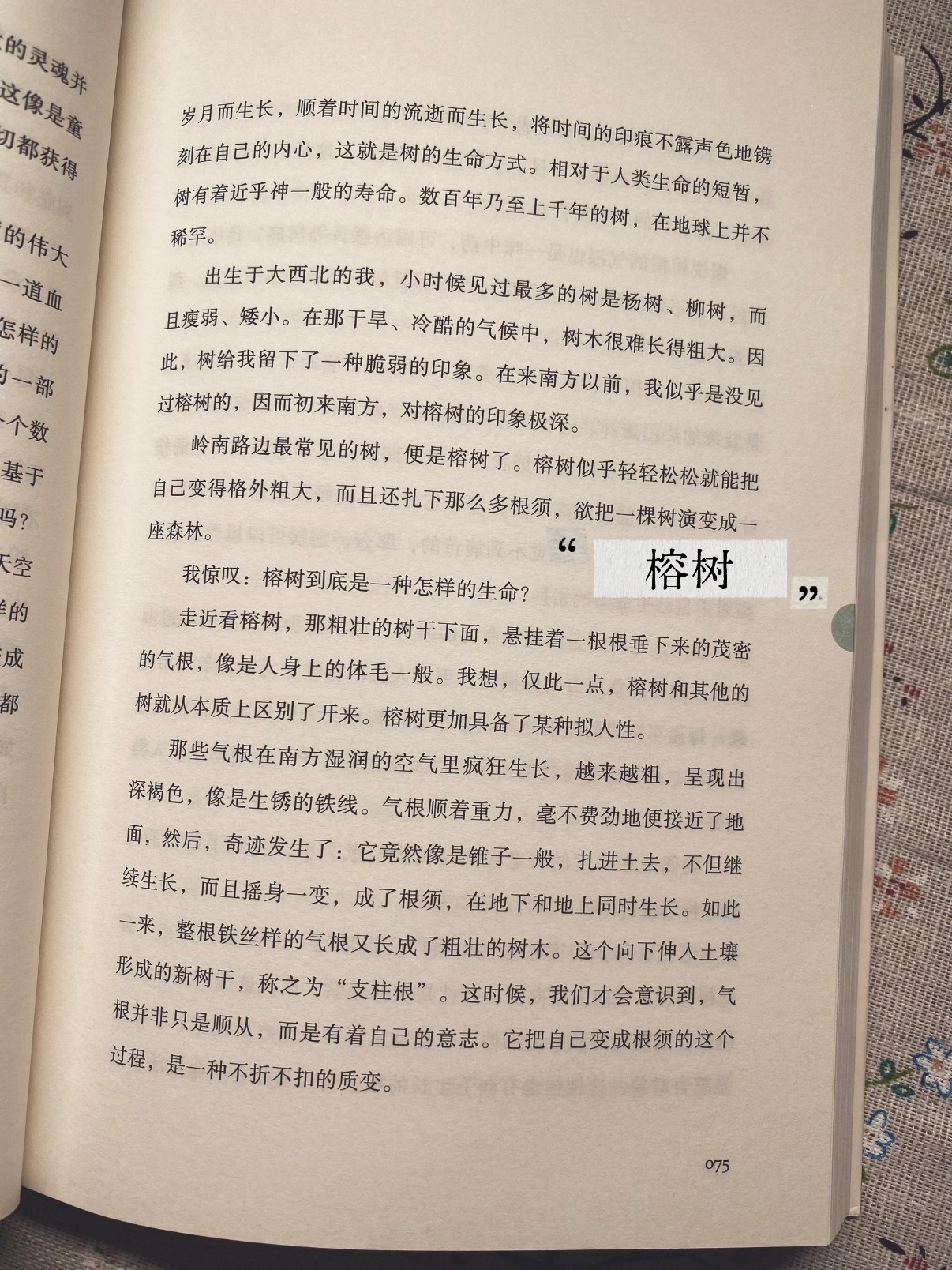 治愈的书籍分享～ 