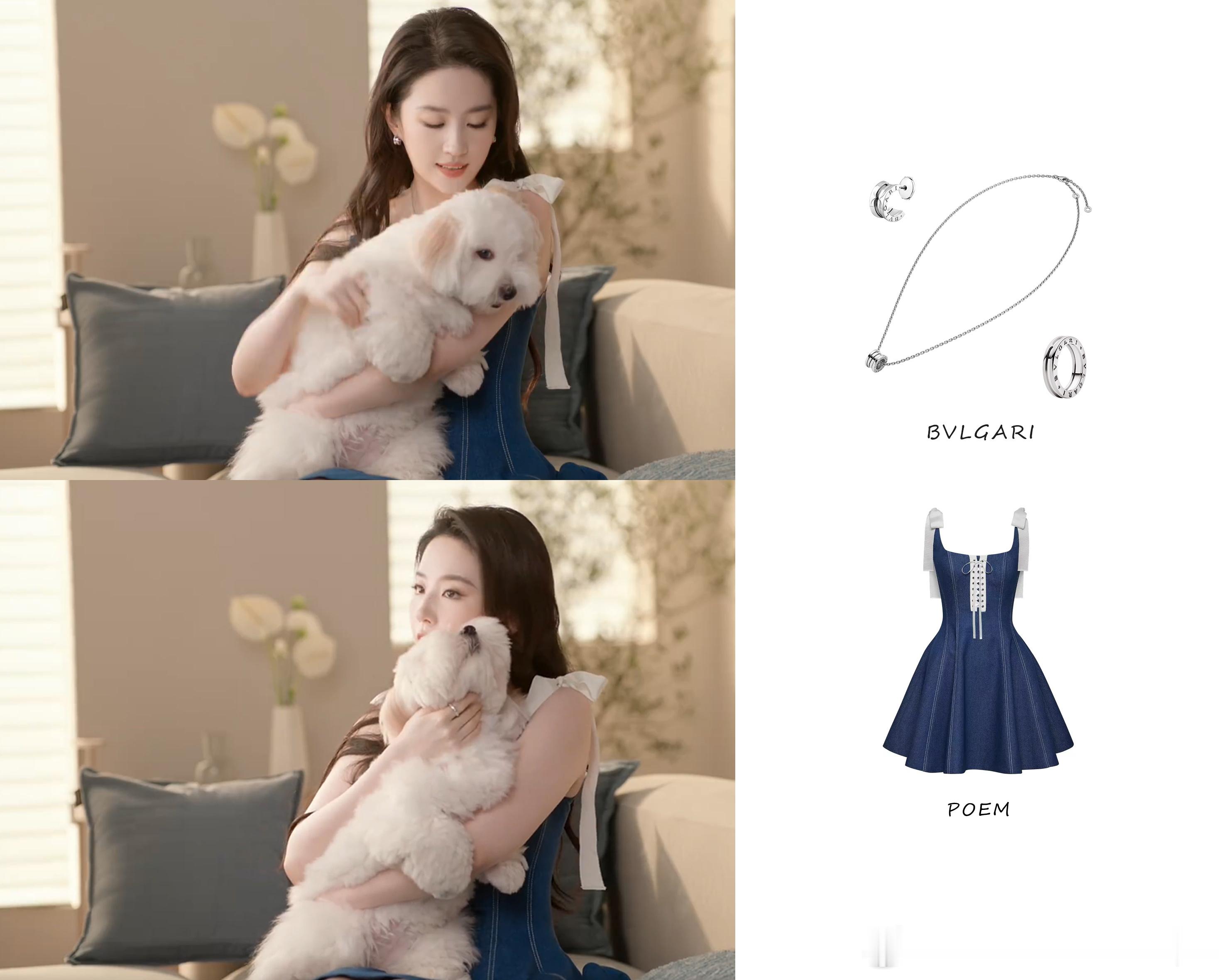 刘亦菲Style  | 2025.07.23 刘亦菲 出镜  蚂蚁保宠物险 品宣