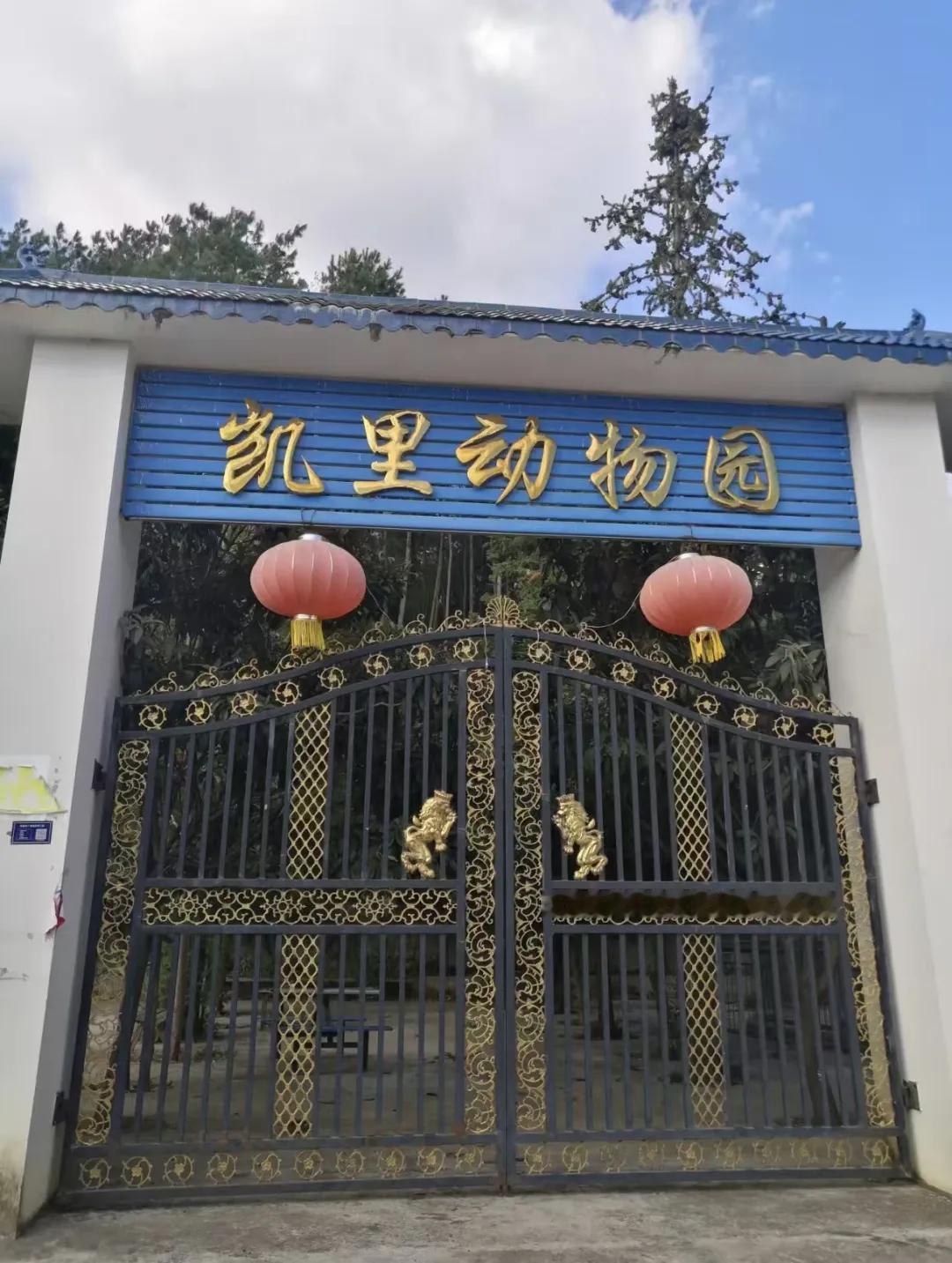 贵州凯里动物园这波走红太意外了。70岁的园长冯元勇，既是负责人，又是售票员、管理