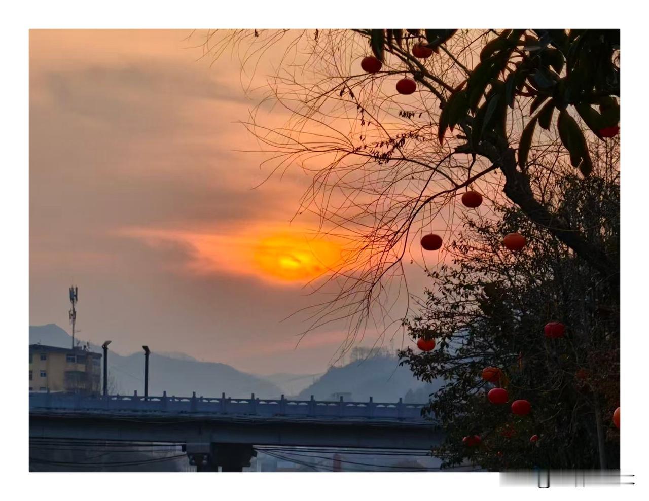 巧了，偶然拍出这张照片。
整个照片看起来呈灰暗色调，犹如某个地方某个时期妖孽层出