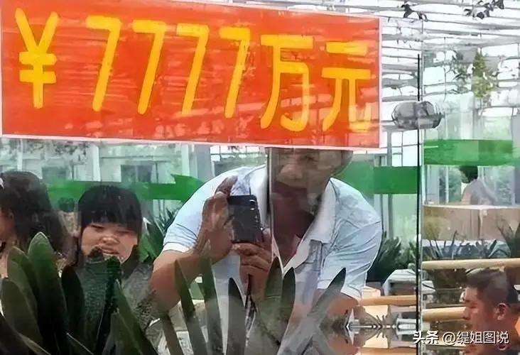 曾经风靡全国、被捧上神坛炒到天价的营销骗局，如今不少都跌成白菜价没人接手。
 