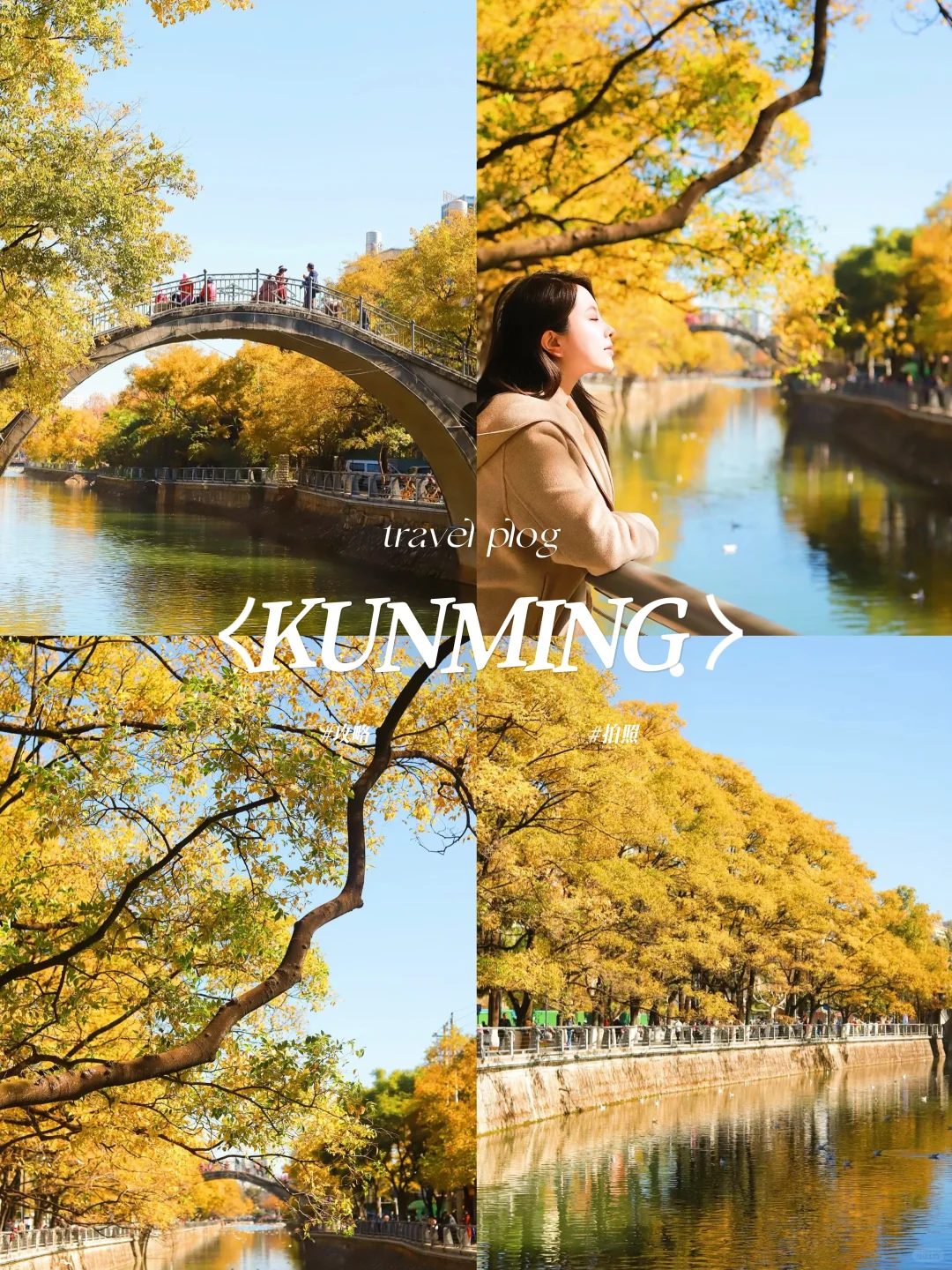 接下来的一个月的昆明｜比你想象中还美！🍂✨