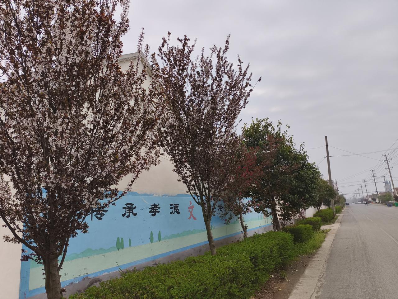 隐隐约约、若有若无、虚无缥缈的美丽王家大院。