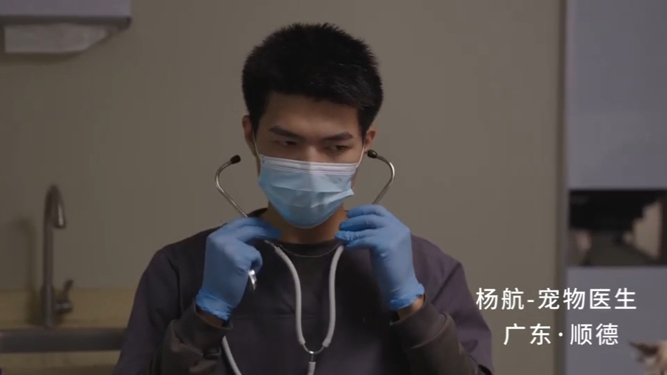 广东的0元宠物救护车当毛孩子病危、被拒载、打不到车，在最绝望的时刻，有人愿意开着