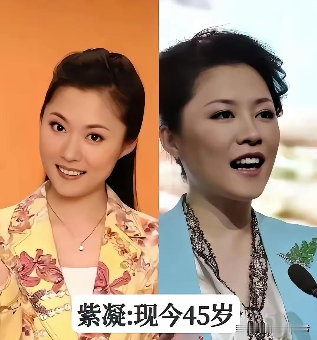 颜值才华兼备。
央视主持人紫凝，以其出色的才华和美貌，被誉为不输李思思和董卿。尽