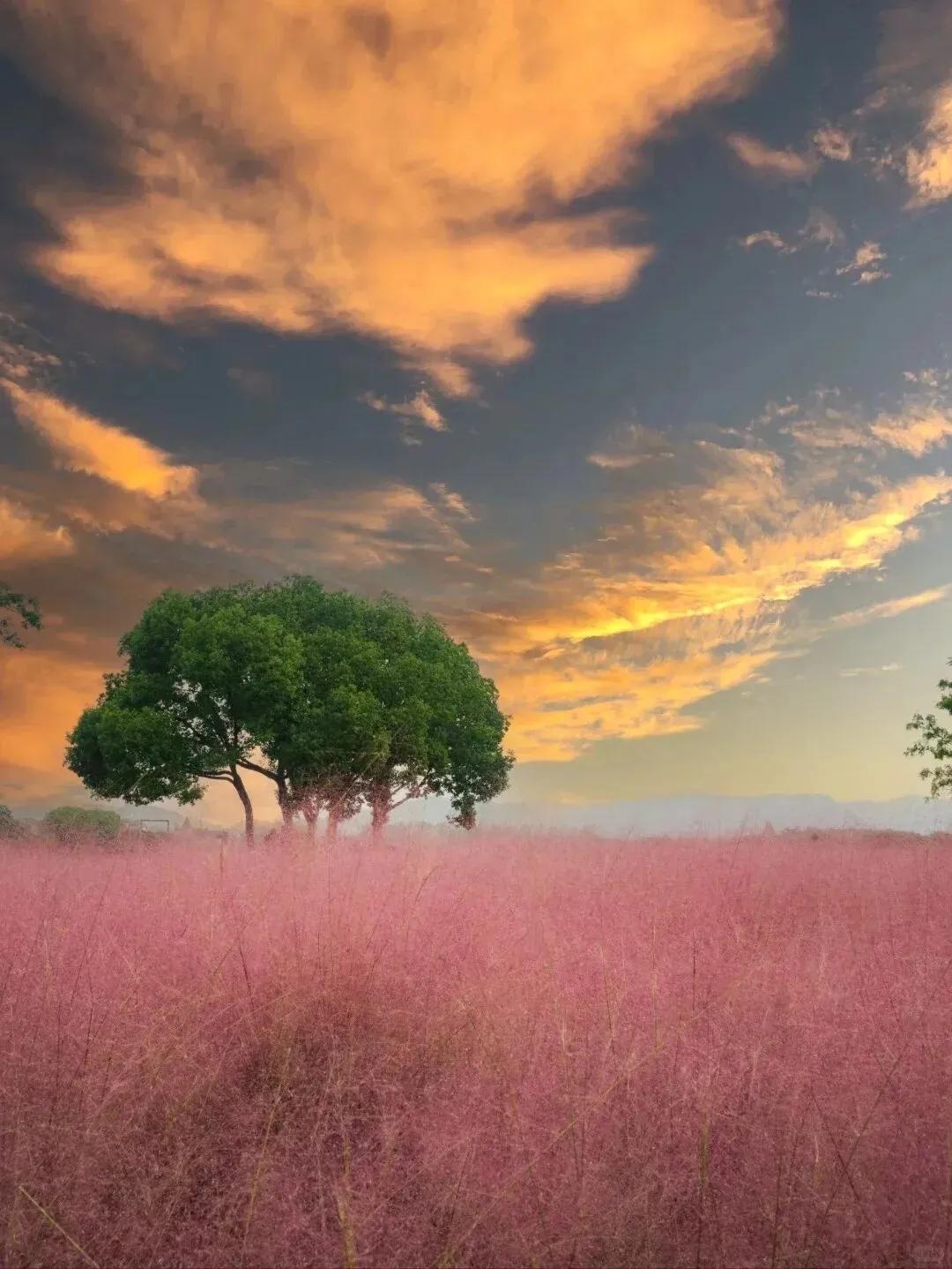 🧀玉兔欢跃至，星降吉光映世间，和风细雨桃花笑，福寿双全喜相连🔥Qcx☀AAA